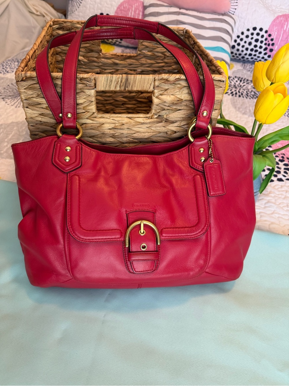 COACH Campbell Belle Carryall Tote Satchel in Red w/Hangtag F24961